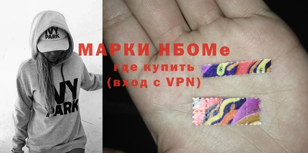 хмурый Арсеньев