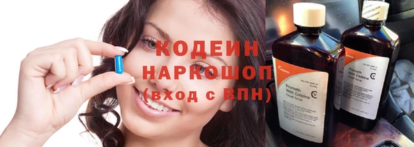 хмурый Арсеньев
