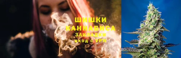 хмурый Арсеньев