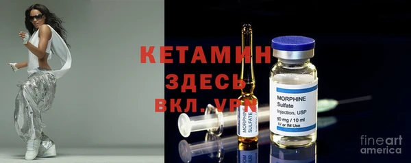хмурый Арсеньев