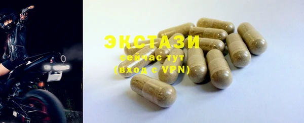 хмурый Арсеньев