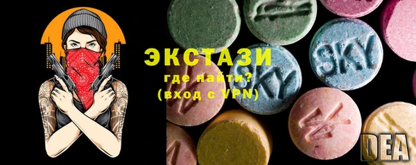 хмурый Арсеньев