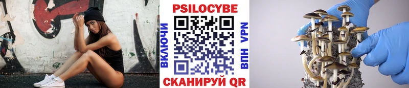 Псилоцибиновые грибы Psilocybine cubensis  Калязин 